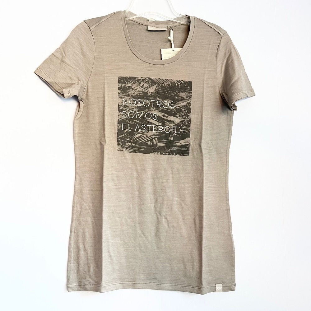 NWT Icebreaker Asteroide Merino t shirt